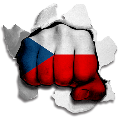 Fist Czech Republic Flag Logo iron on paper